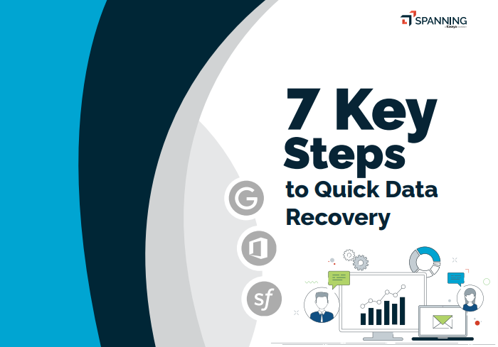 7 Key Steps to Quick Data Recovery